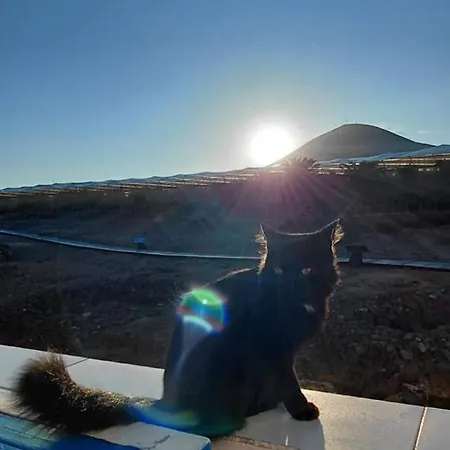 Casa De La Bruja - Haus Am Meer, Maximal 3 Gaeste Appartamento Gáldar